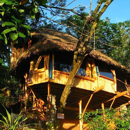 Vanira Lodge Teahupoo Exteriör bild