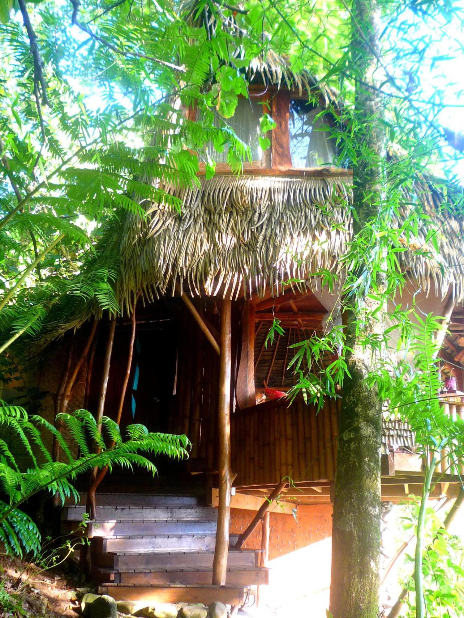Vanira Lodge Teahupoo Exteriör bild