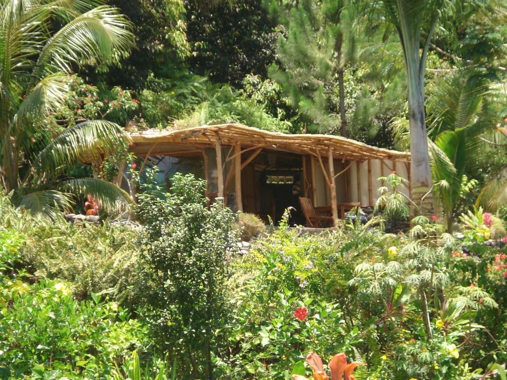 Vanira Lodge Teahupoo Rum bild
