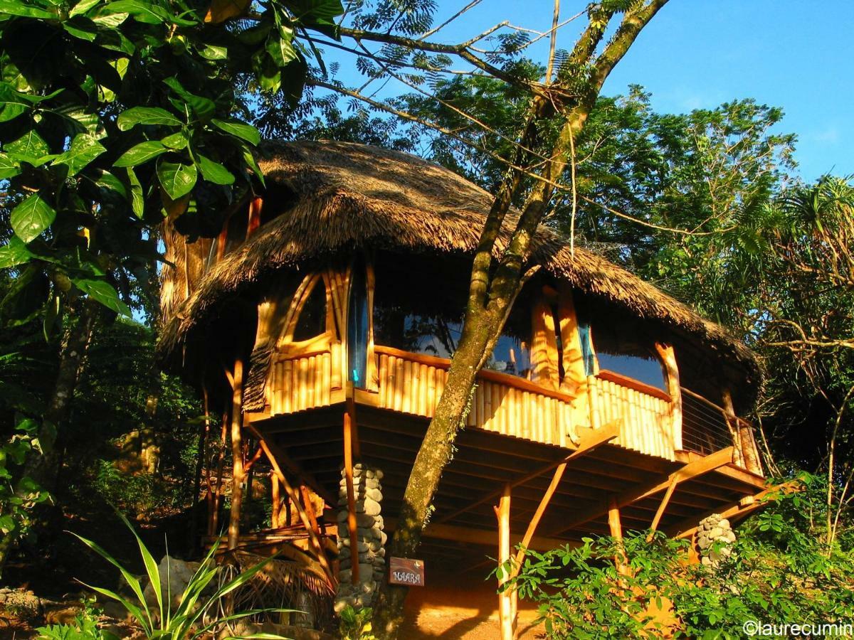 Vanira Lodge Teahupoo Exteriör bild